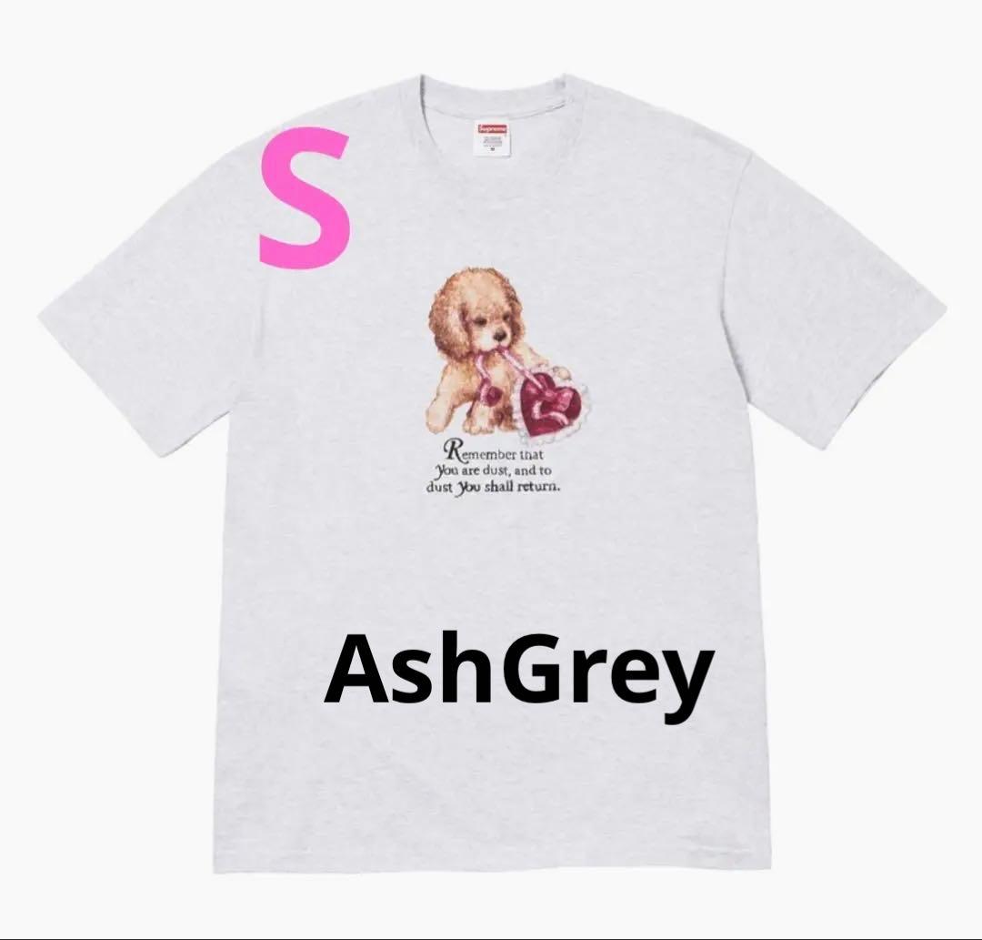 SUPREME Dust Tee Ash Grey Tシャツ サイズS