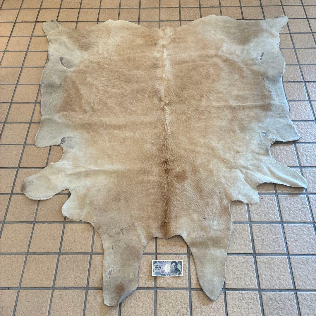 は*ろ様 白熊 毛皮 美品