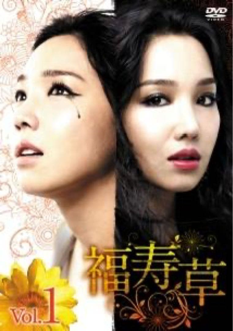 韓国ドラマ　DVD　福寿草　全36巻セット