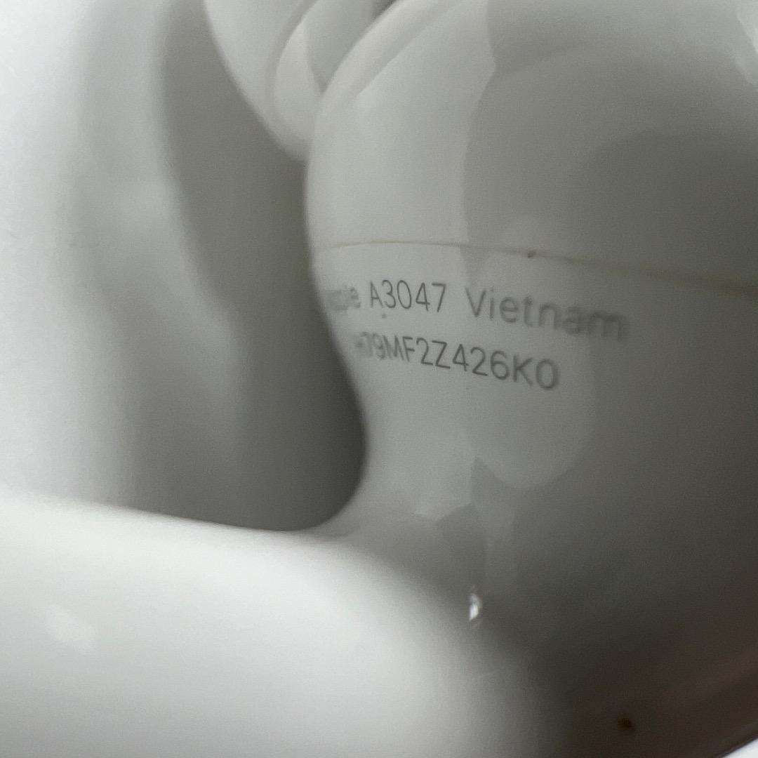 Apple AirPods Pro 第2世代 USB-C 両耳 [11]