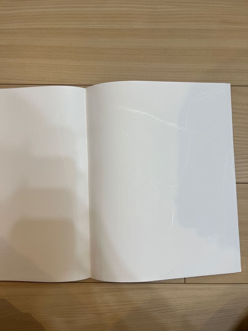 DWE シングアロング　新子役 DVDセット