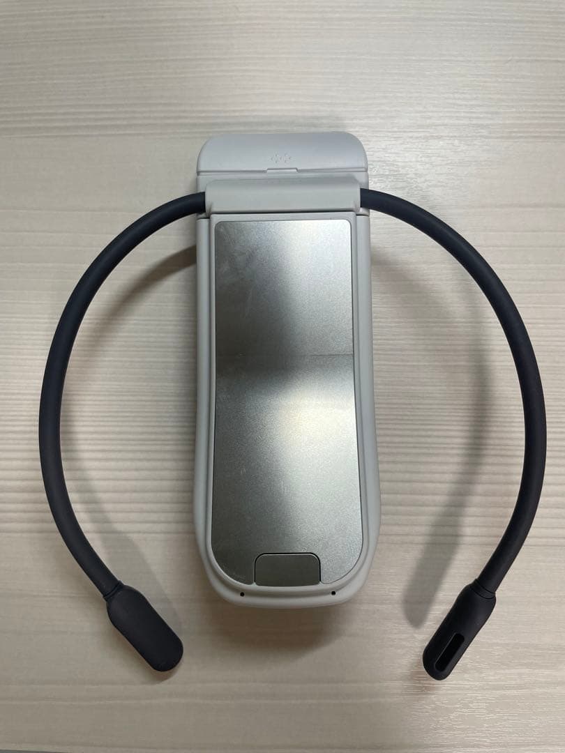 レオンポケットプロ　RNPK-P1T ウェアラブルサーモデバイス　ソニー