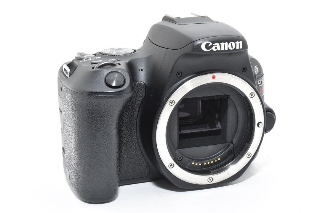 Canon EOS Kiss X9/標準&望遠ダブルレンズセット