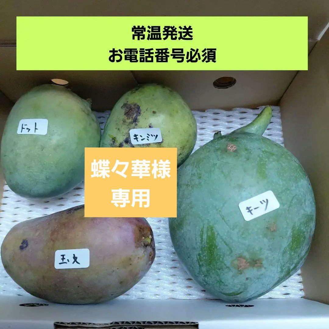 追熟型①と②　色々マンゴー食べ比べセット