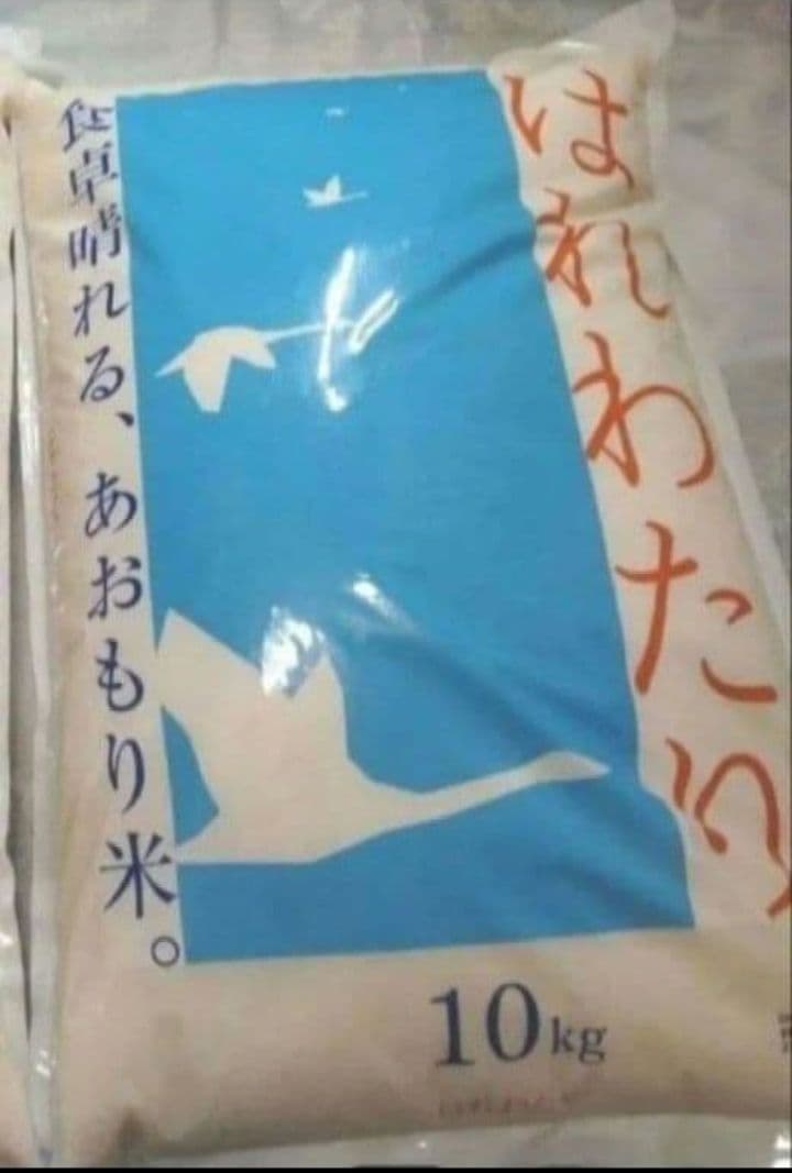 青森県産はれわたり 10kg　令和8年2月上旬精米