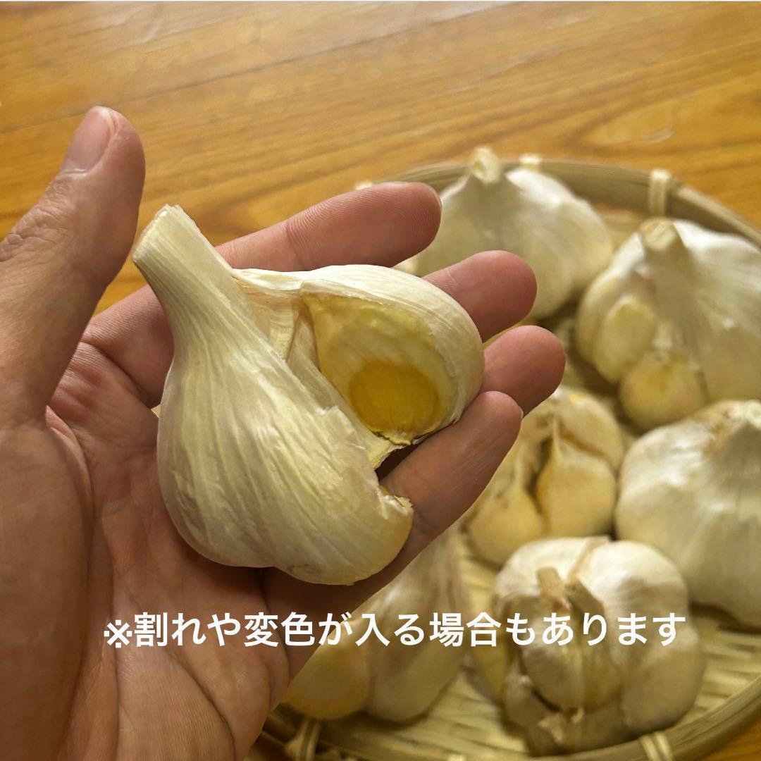 【お買い得セール】青森県 福地ホワイト にんにく L 4kg 　黒にんにく加工