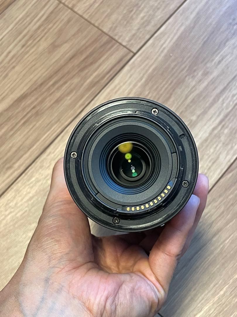 ねむり。NIKKOR Z DX 50-250mm f/4.5-6.3 VR