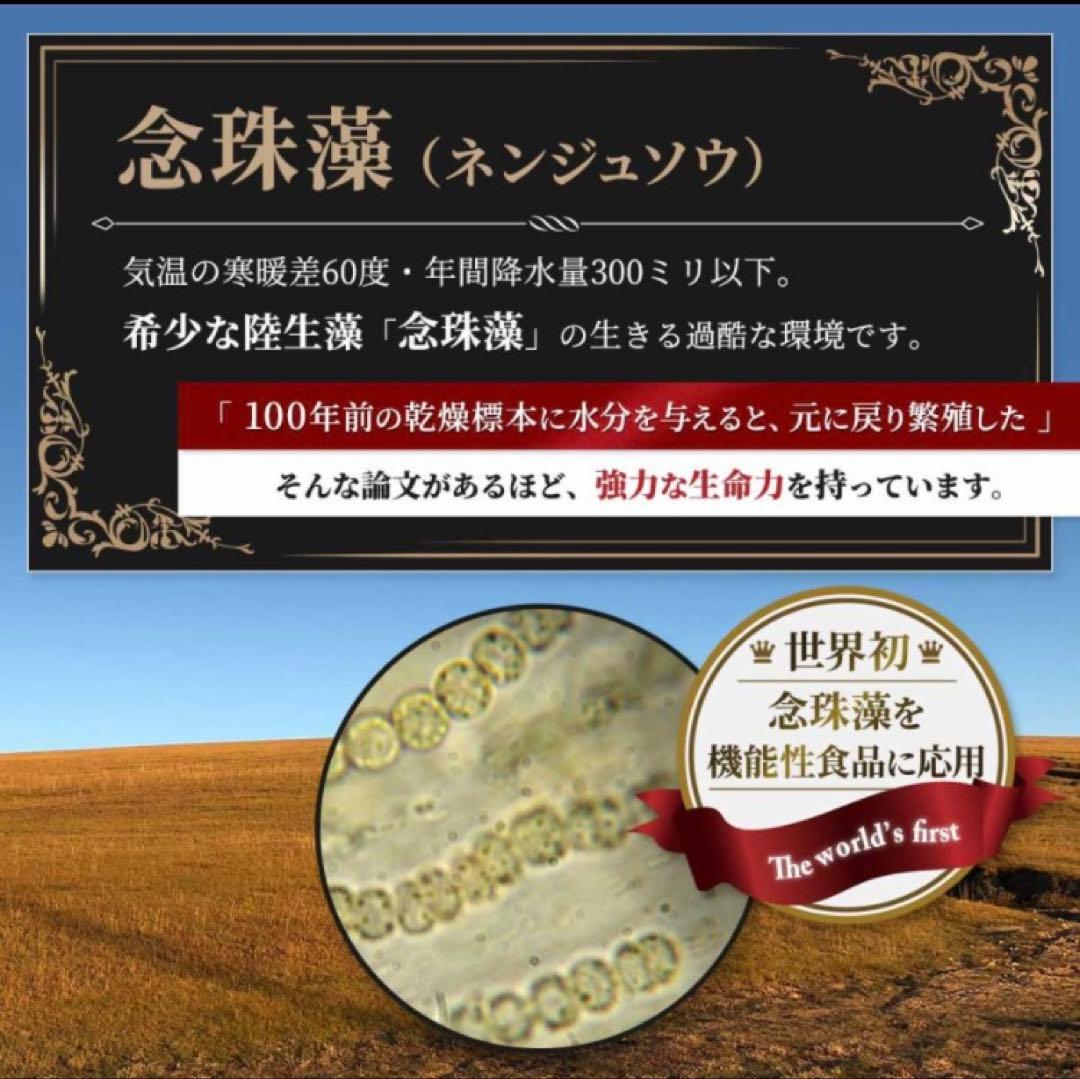 マイクロアルジェ〜阿拉善〜　【未開封❺箱/特価価格】