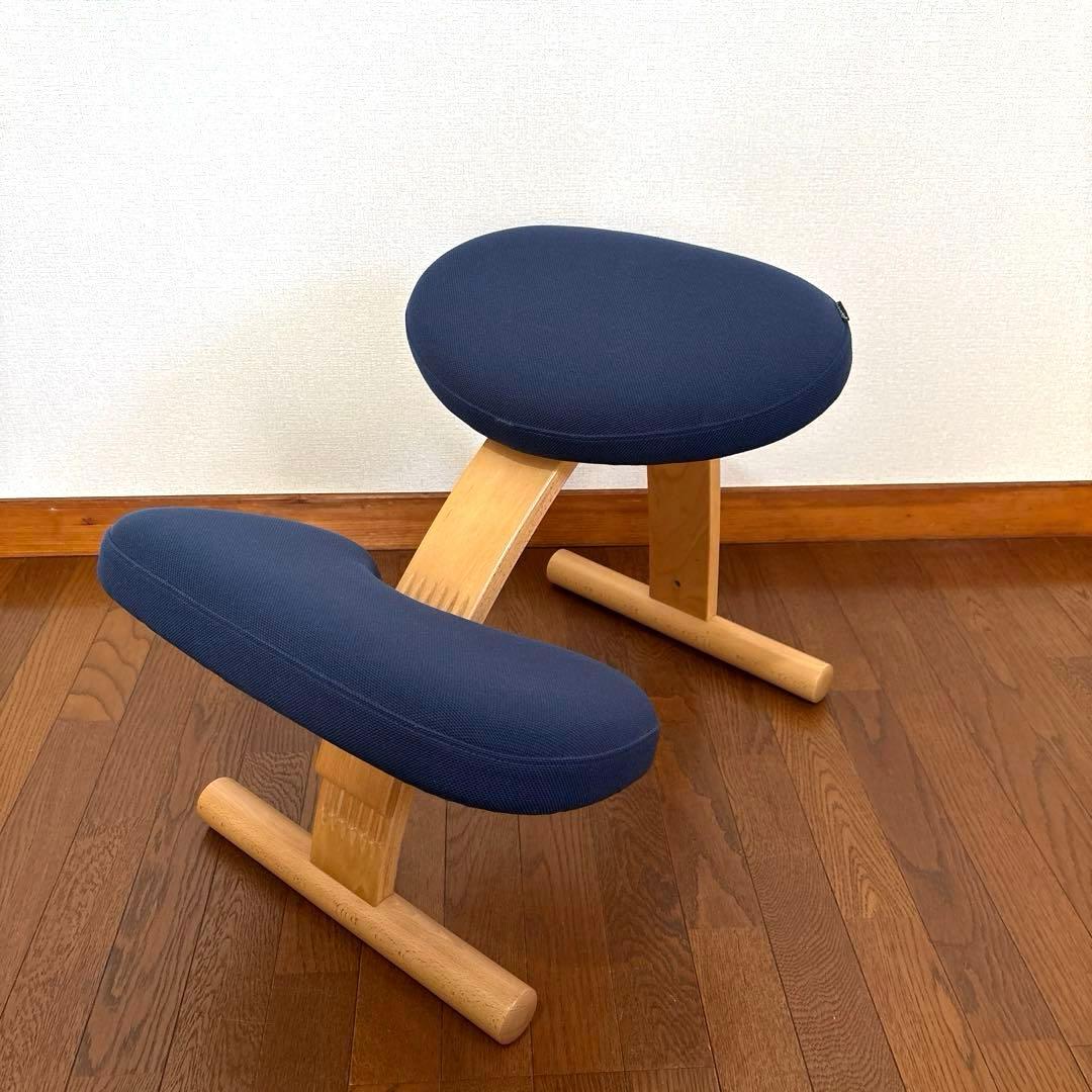 【美品】バランスイージー ネイビー 通常フレーム