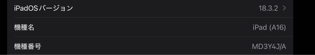 iPad A16 128gb シルバー バッテリー100%