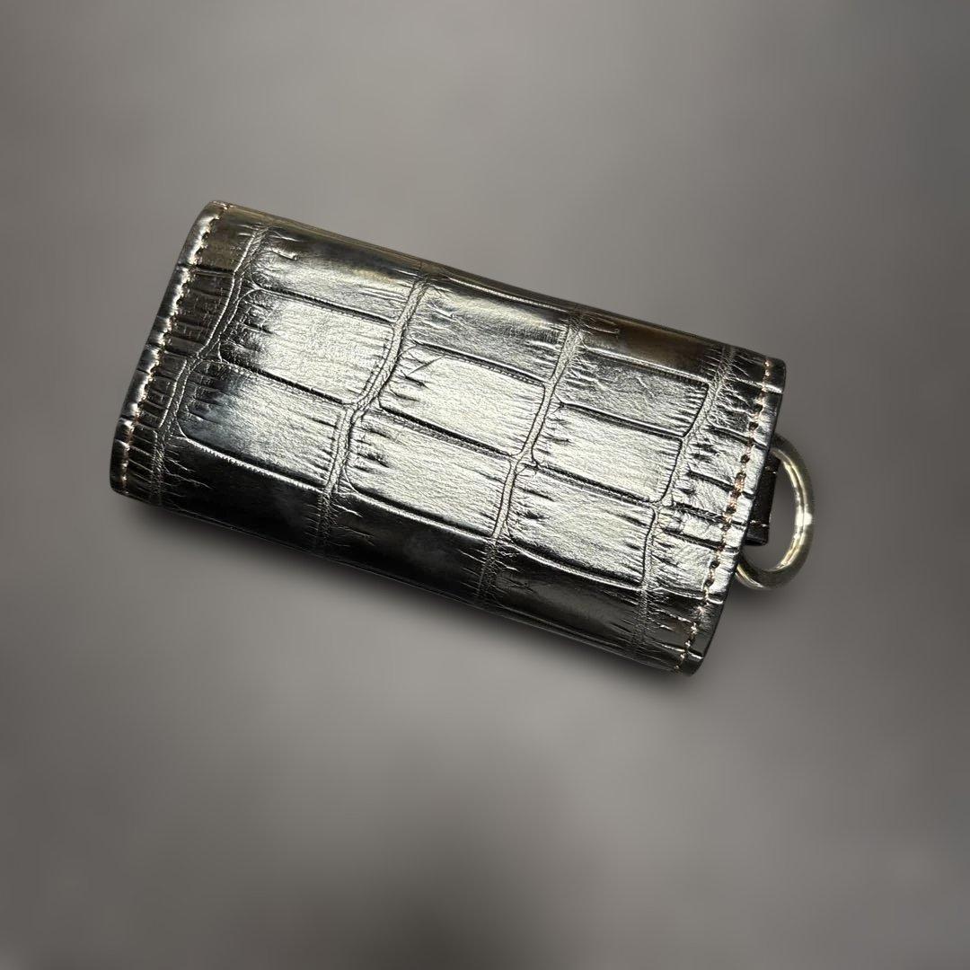 ワイルドスワンズ　クリッパー2 クロコダイル