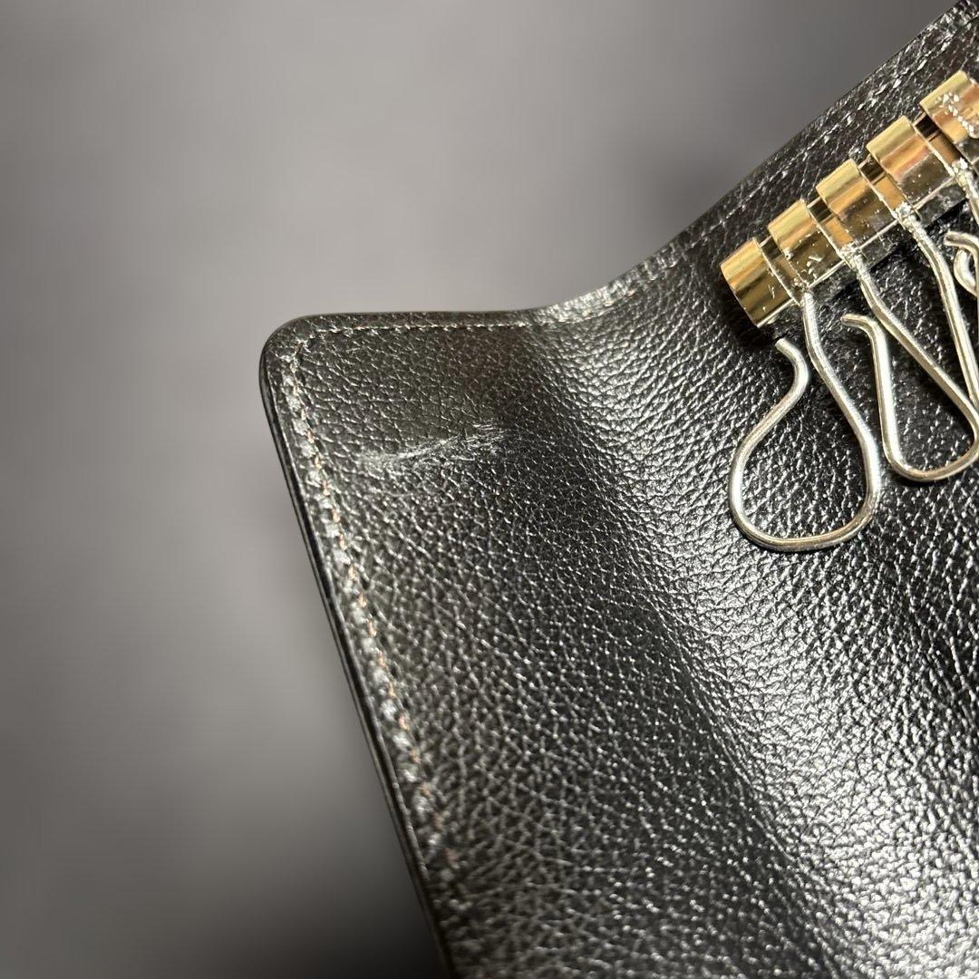 ワイルドスワンズ　クリッパー2 クロコダイル