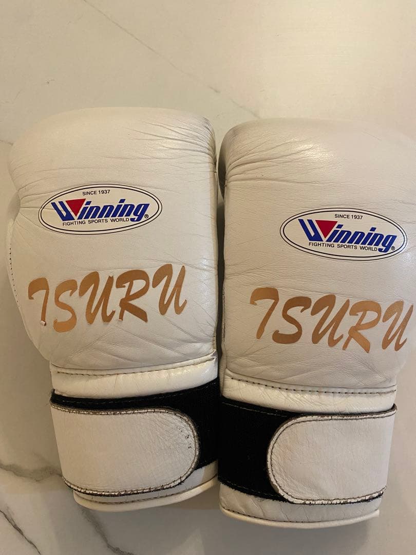 taro　Winning プロフェッショナル用14オンスグローブ