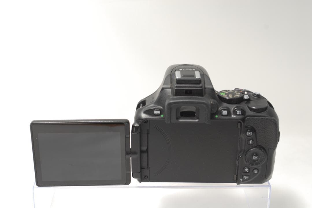 ☘️ショット数少なめ⭐美品☘️Nikon D5600 ダブルズームキット