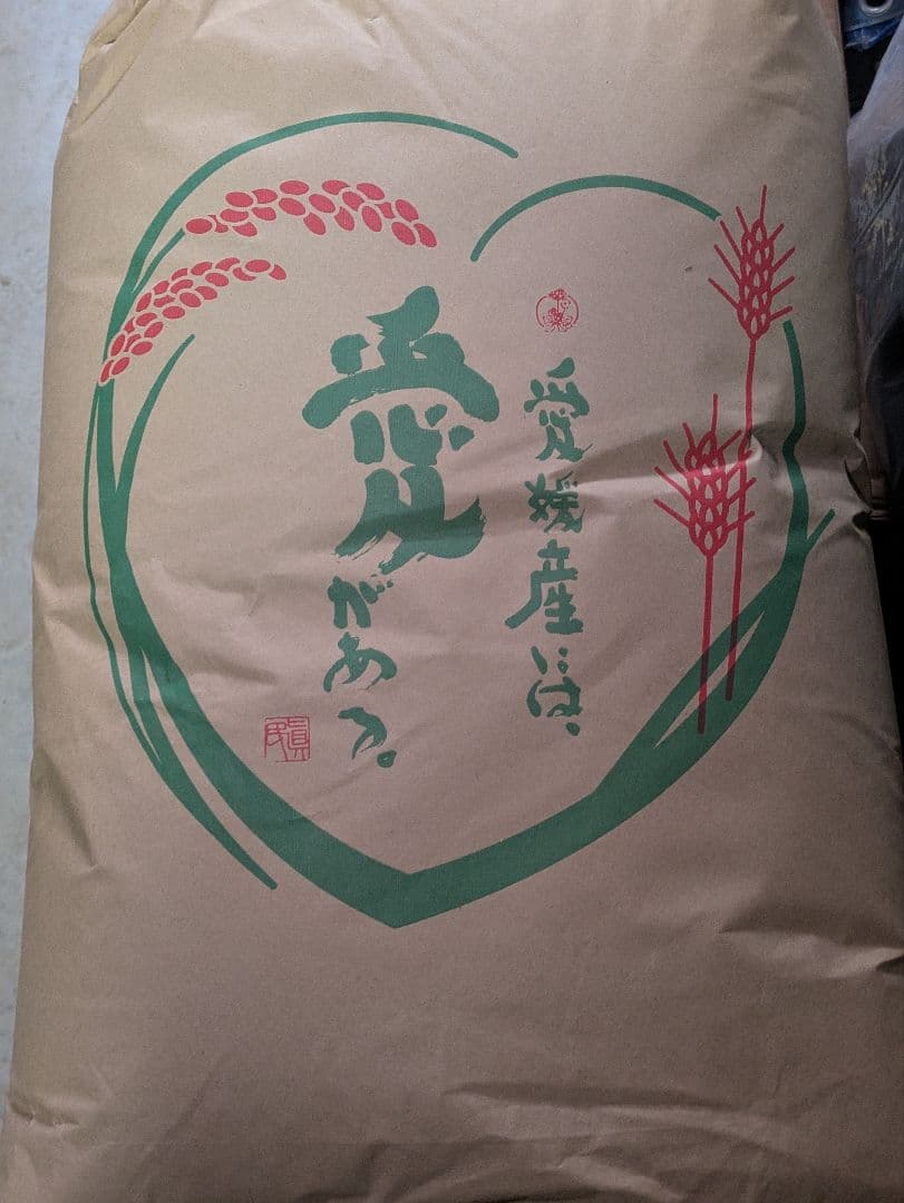 ひめの凜 　令和7年度 愛媛県産 玄米30キロ