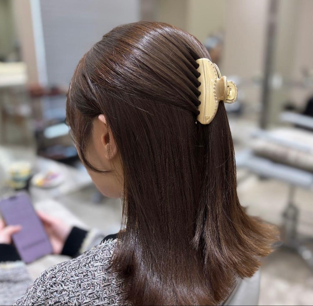 ALEXANDRE DE PARIS スワロフスキー　ヴァンドームクリップ