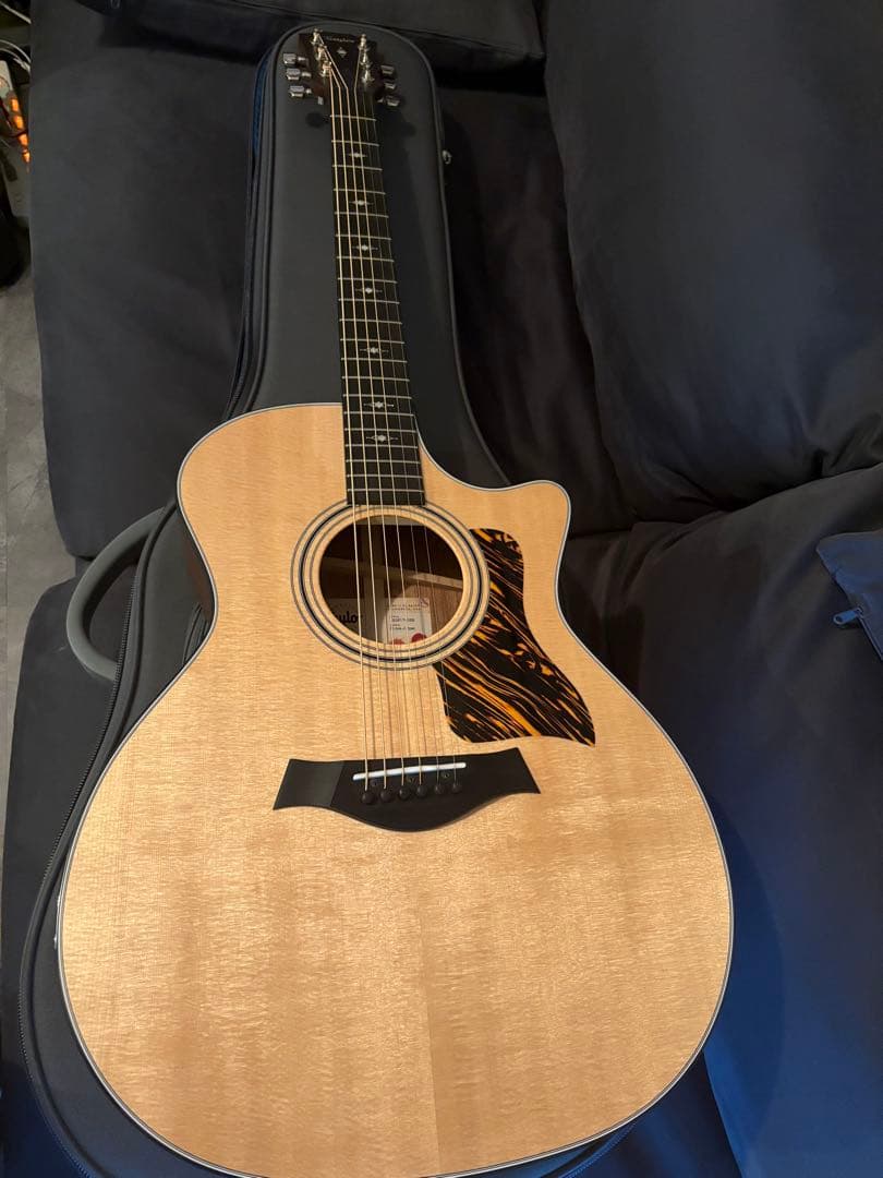 meromu　光栄堂　taylor 314ce Vクラス　日本限定仕様