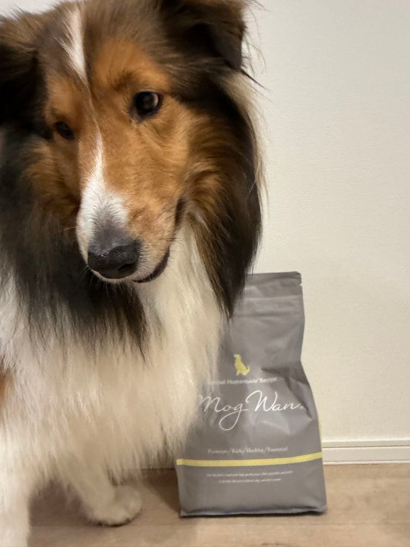 Mog Wan ドッグフード プレミアム(2袋)