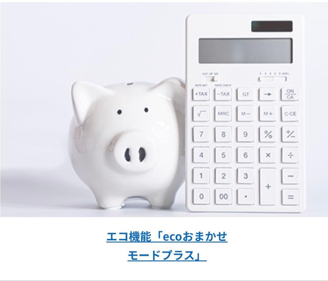 ダイニチ ブルーヒーター FZ-103 (ホワイト×ブラック)