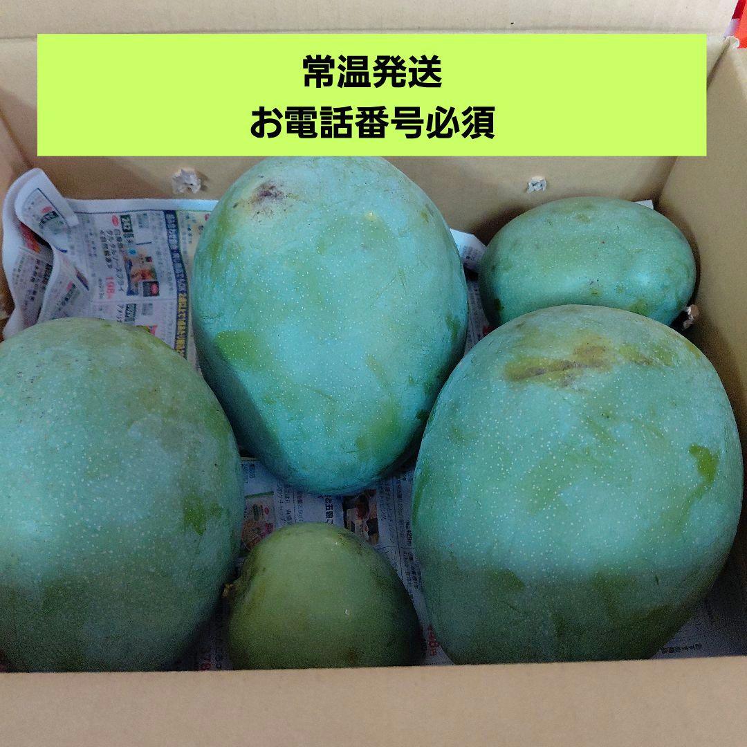 キーツマンゴー+ドット(ラスト)