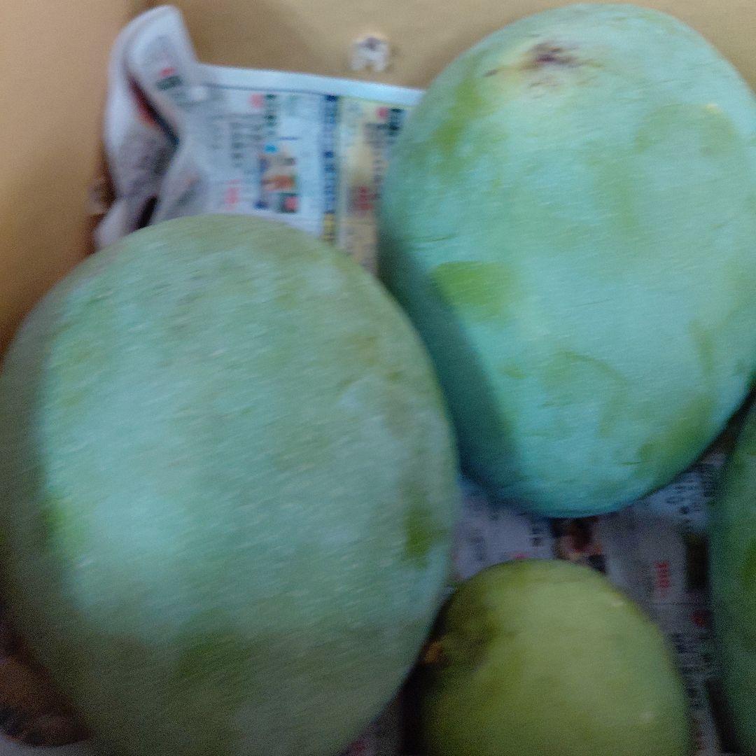 キーツマンゴー+ドット(ラスト)