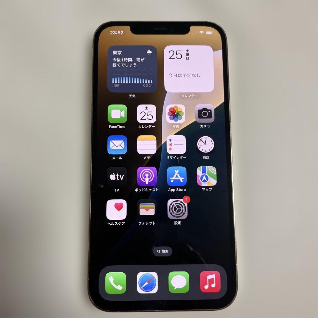 Apple iPhone 12 本体