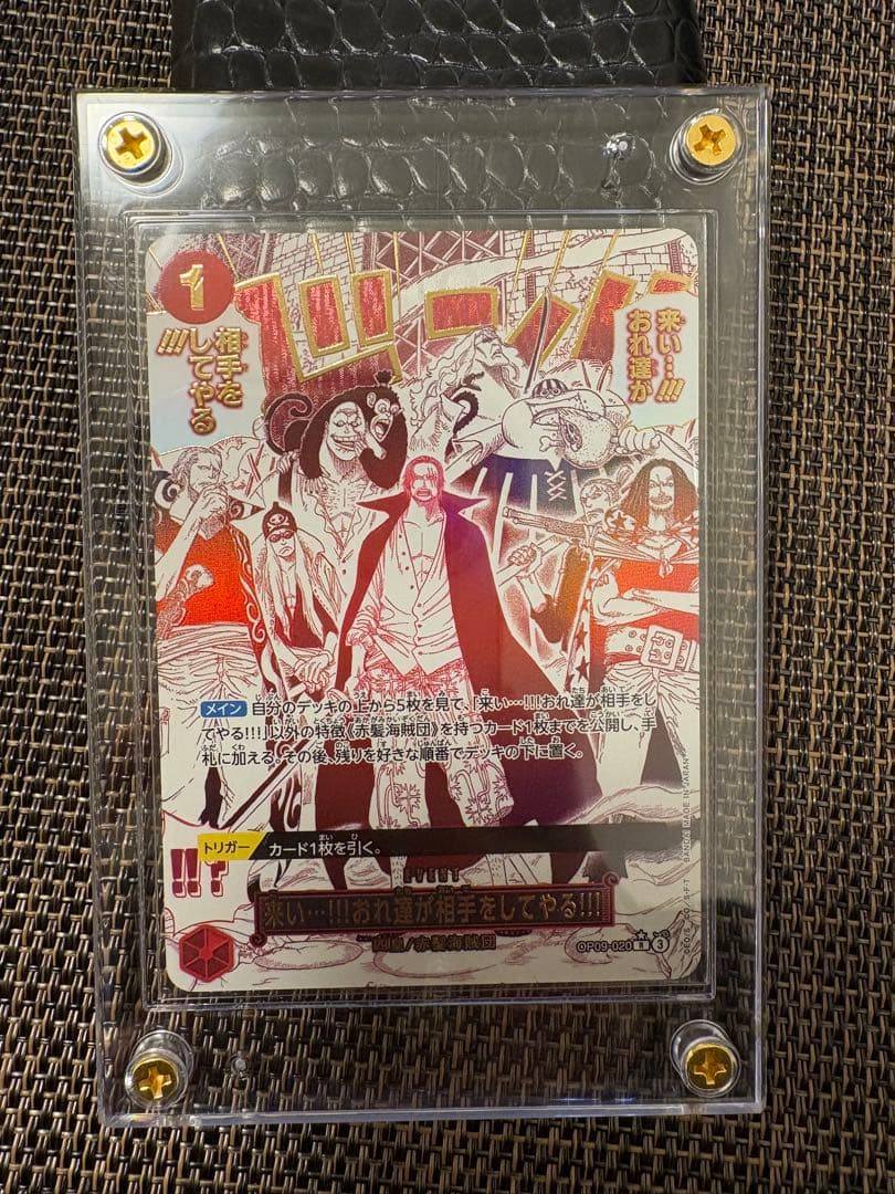 【極美品】こい…おれ達が相手をしてやる‼︎