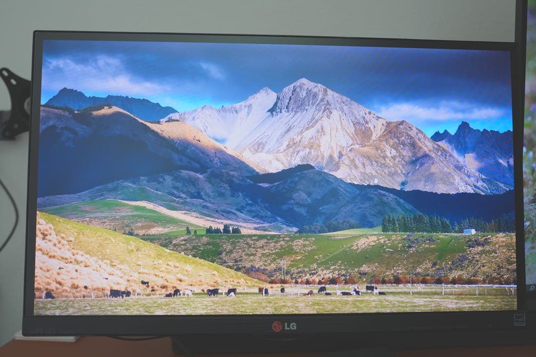 LG ディスプレイ モニター