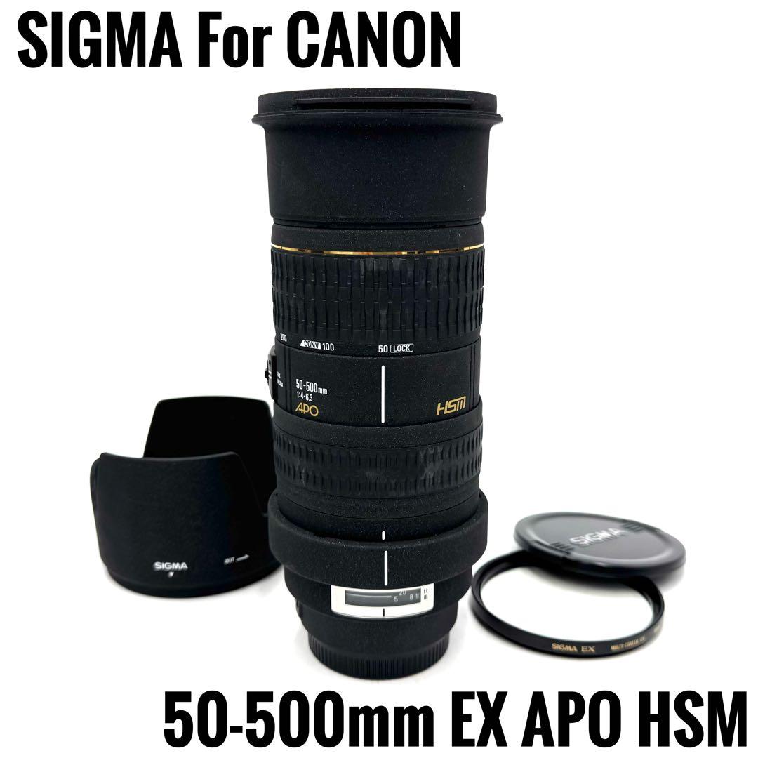 ❁大迫力！超望遠❁SIGMA 50-500mm EX APO HSM キャノン用