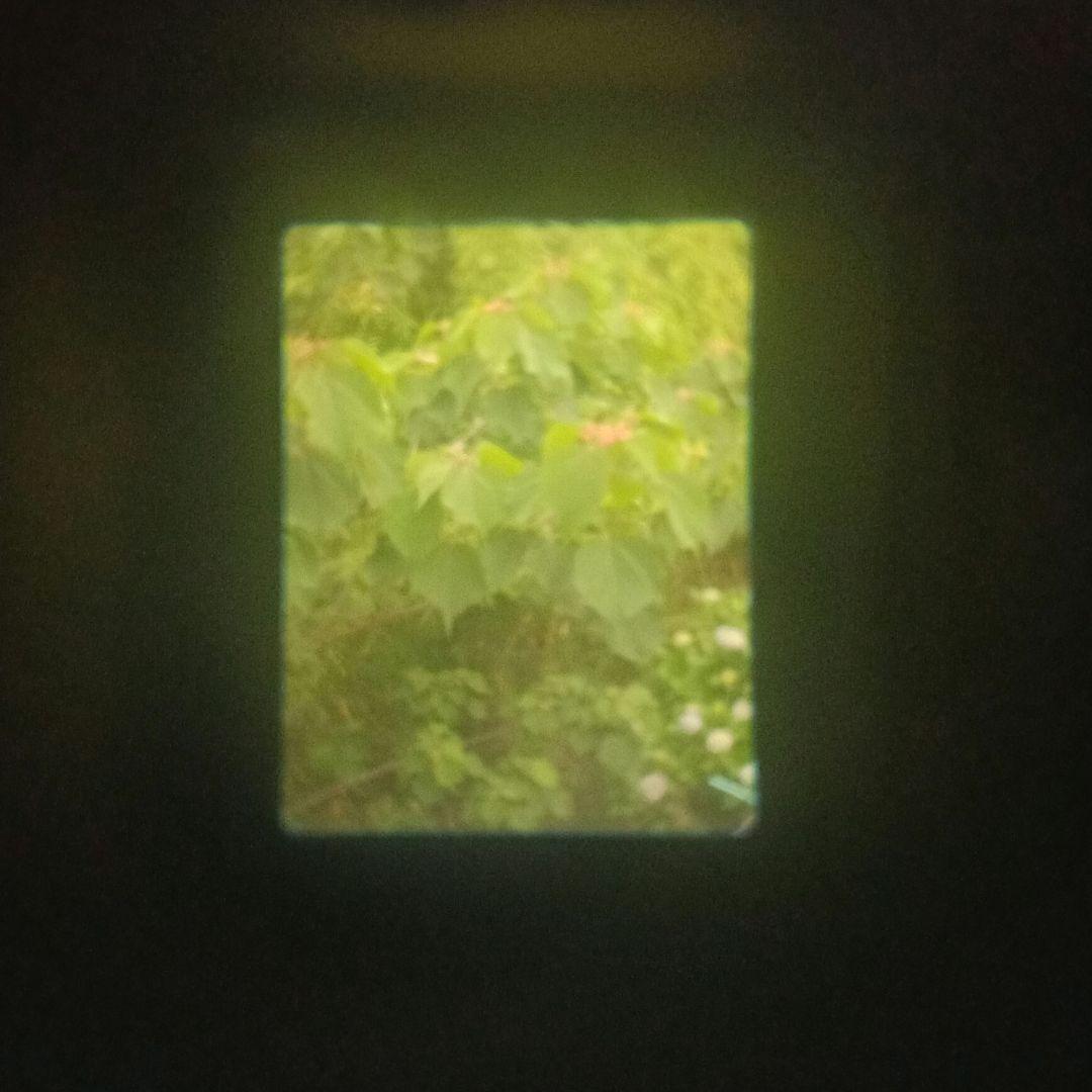 フィルムカメラ【整備、完動品】キャノン　デミS