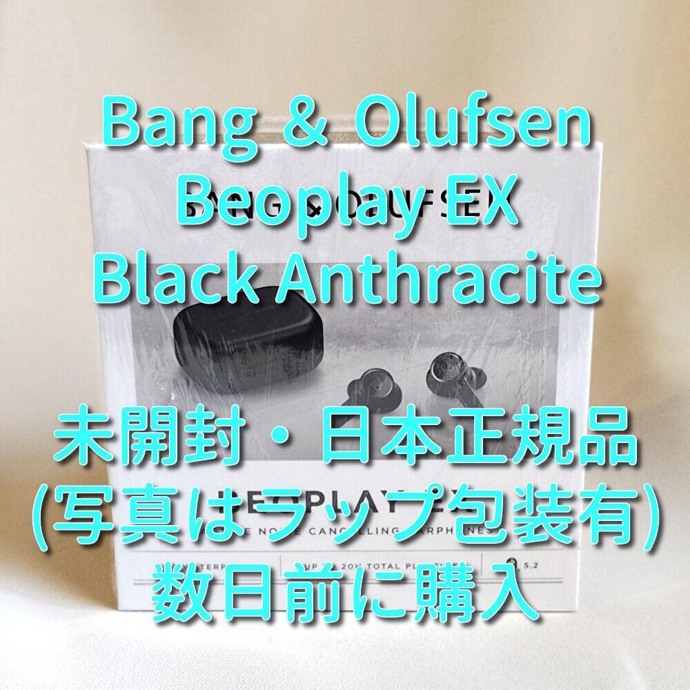 【日本正規品】 Bang & Olufsen Beoplay EX ブラック
