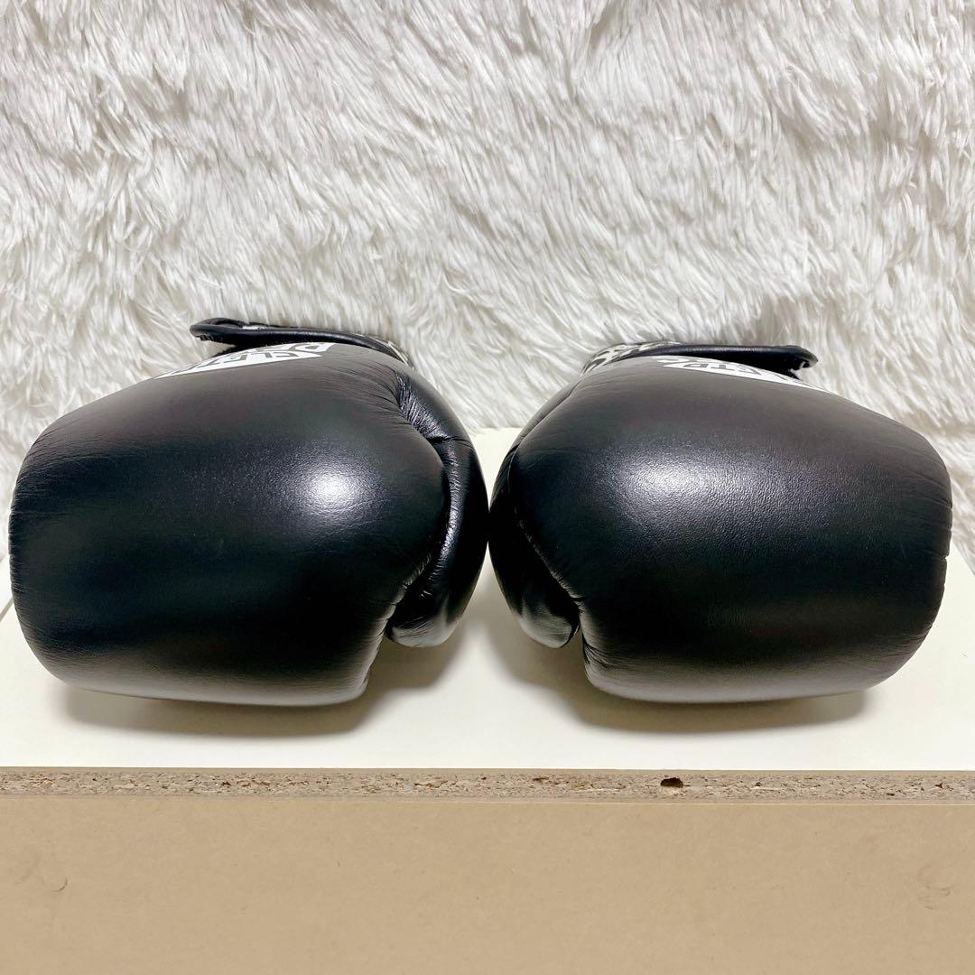 【美品】 レイジェス ボクシング グローブ 8oz プロ仕様