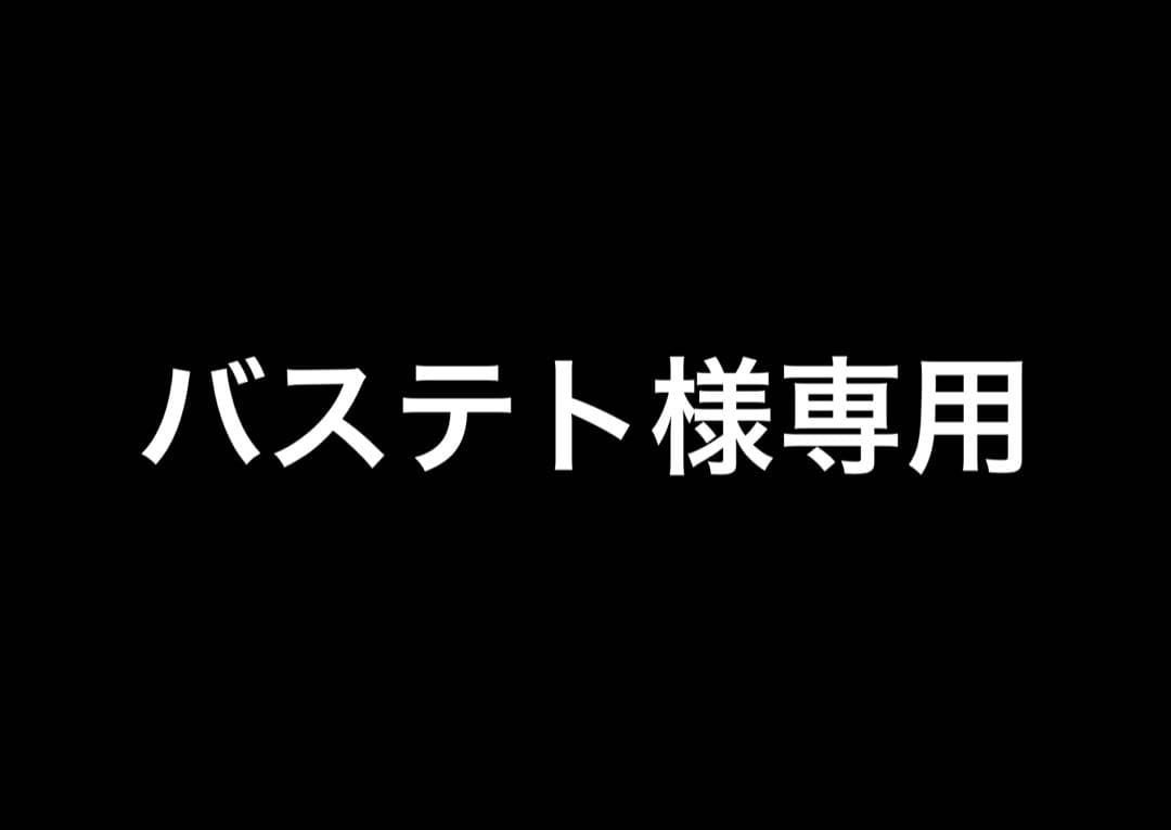 バステト　トイカメラ + α