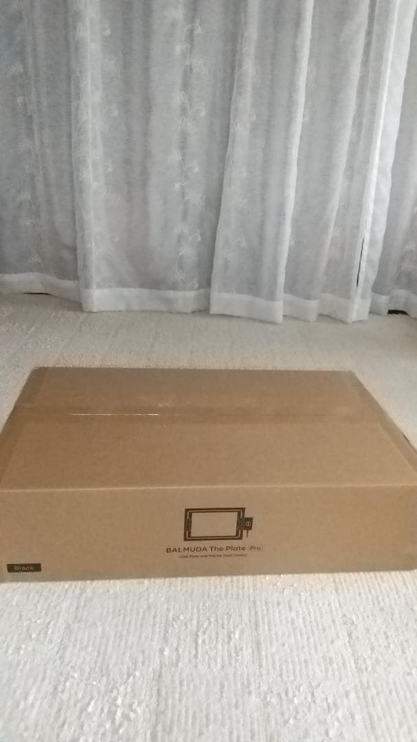 BALMUDA The Plate Pro 新品・未開封