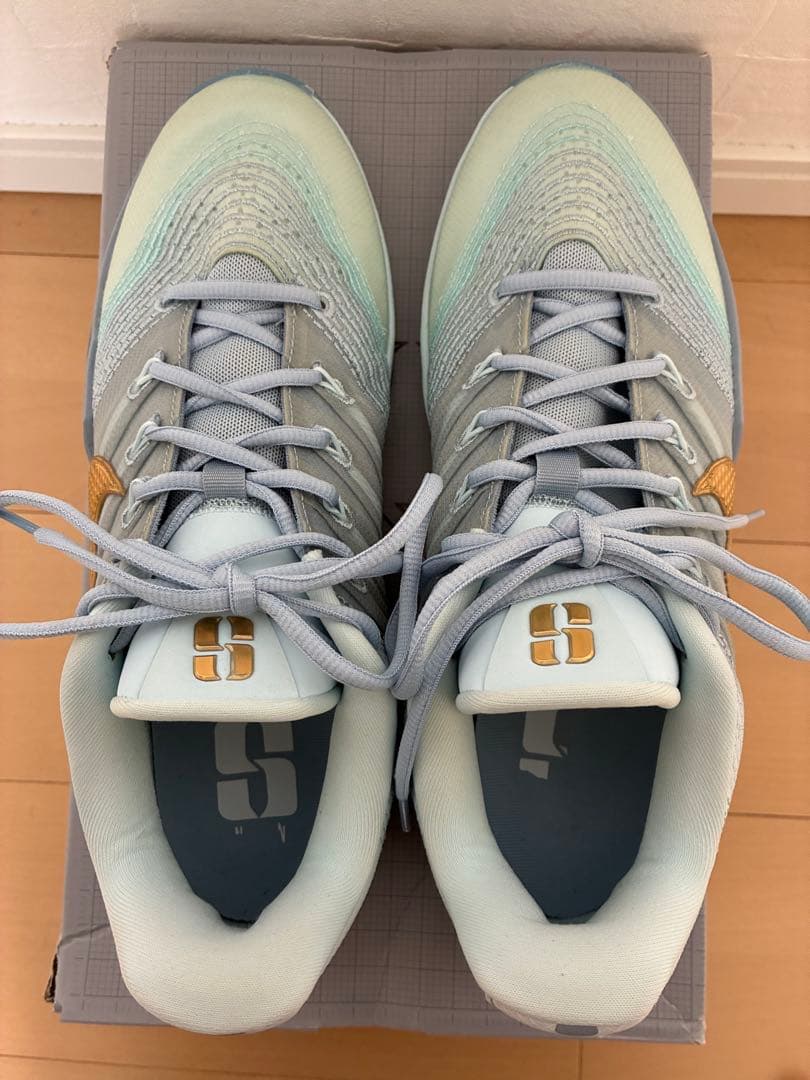 Nike Sabrina Ionescu バスケットシューズ