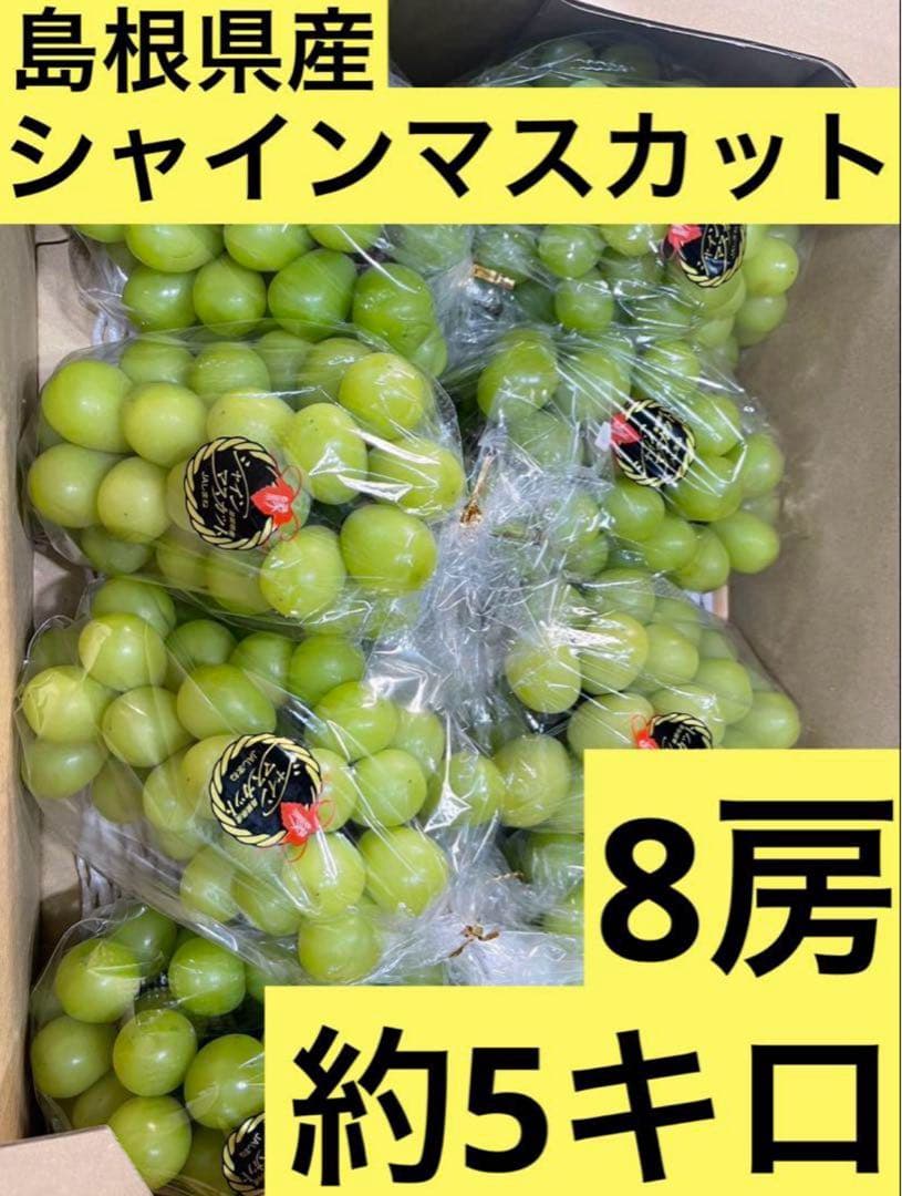 ③ 【島根県産】シャインマスカット約5キロ(8房)