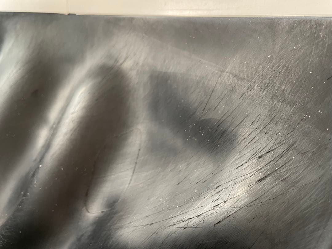 【中古】猫用自動トイレ、リッターロボット3