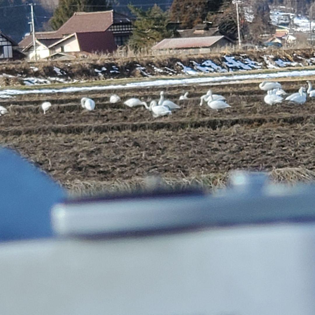 Canon 一眼レフ　フィルムカメラ＋レンズまとめて