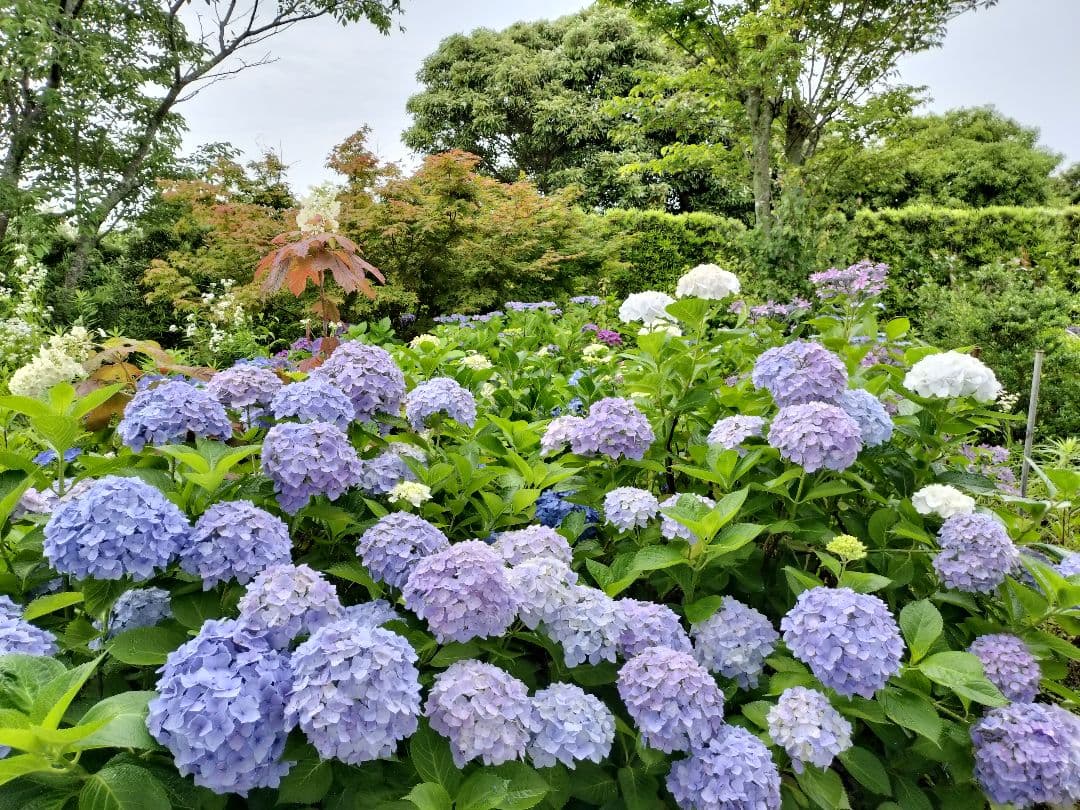 九谷焼　6角香炉