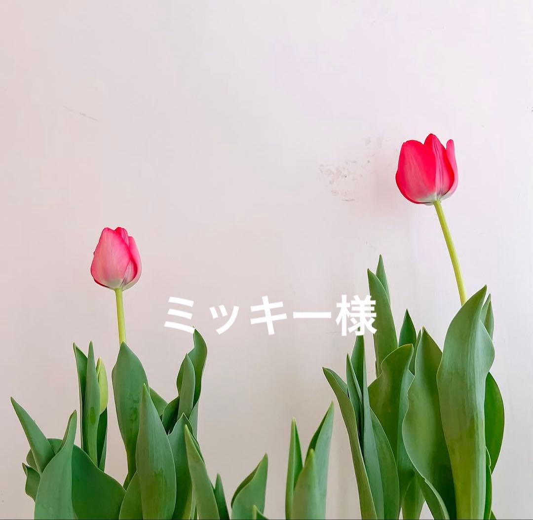 ミッキー様　ブリリアントレフィル　サンスクリーン