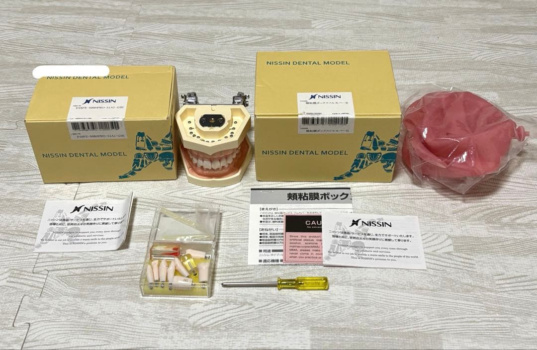 ニッシン　歯科模型　額模型　歯科衛生士　NISSIN デンタルモデル