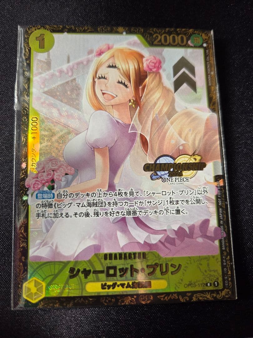 シャーロット・プリン：チャンピオンシップ2024 WAVE1 エリア大会ベスト8