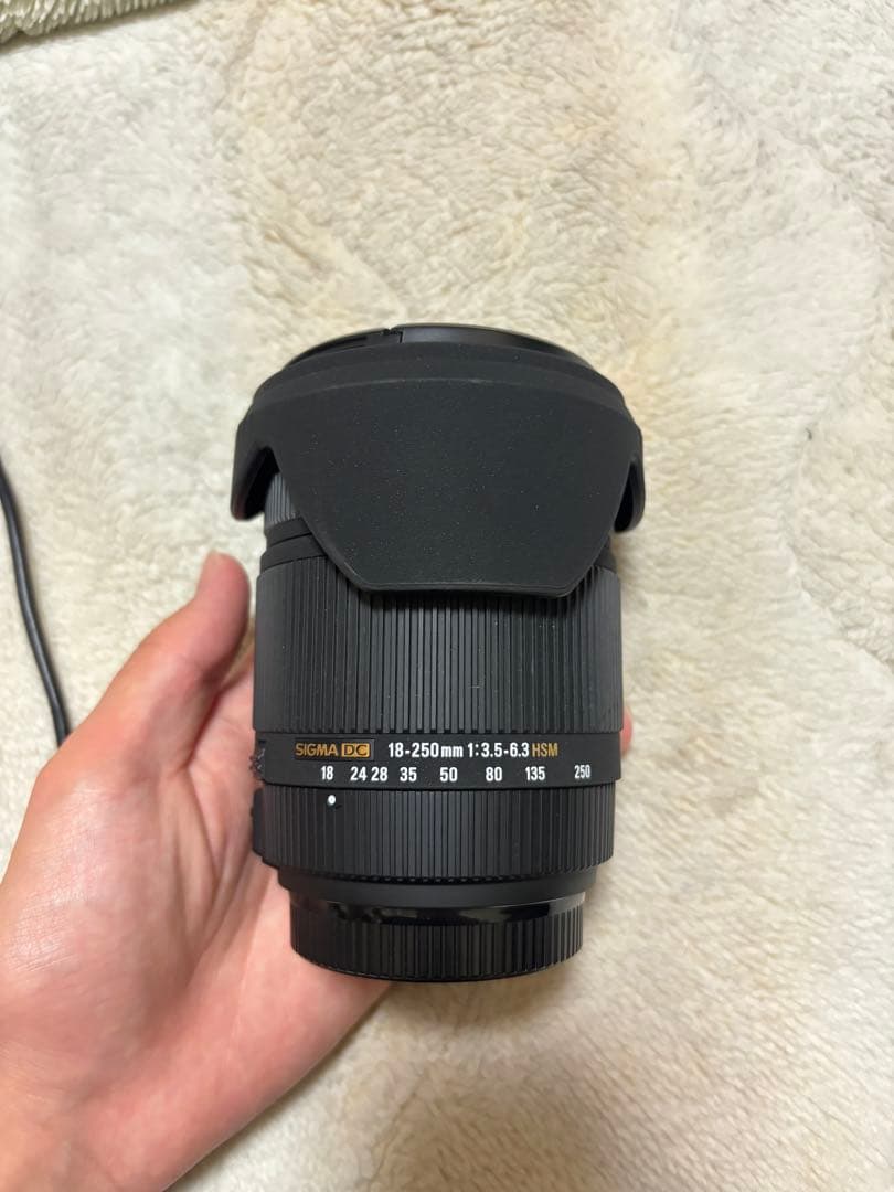 【最終値下げ❗️】SIGMA 18-250mm F3.5-6.3 DC sony用
