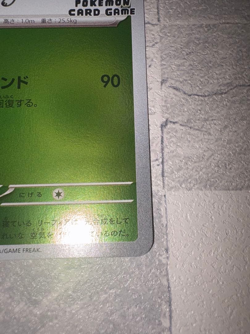 リーフィア　NAGABAプロモ