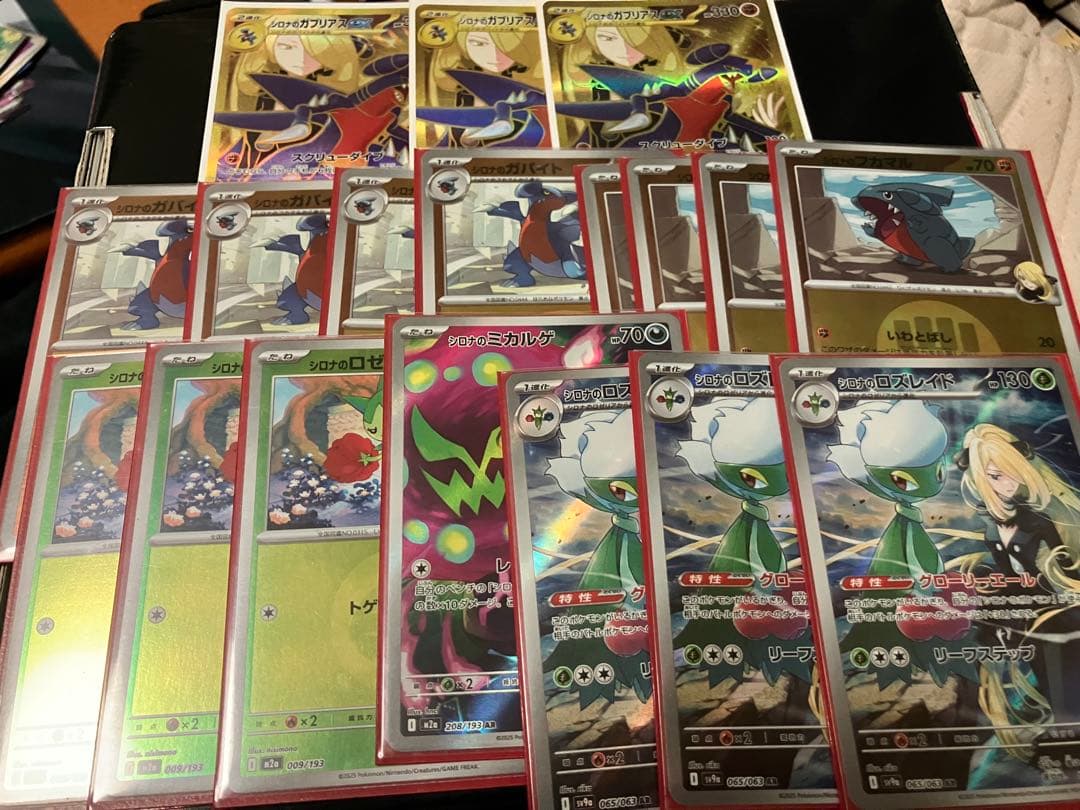 シロナのガブリアス　ハイレアセット