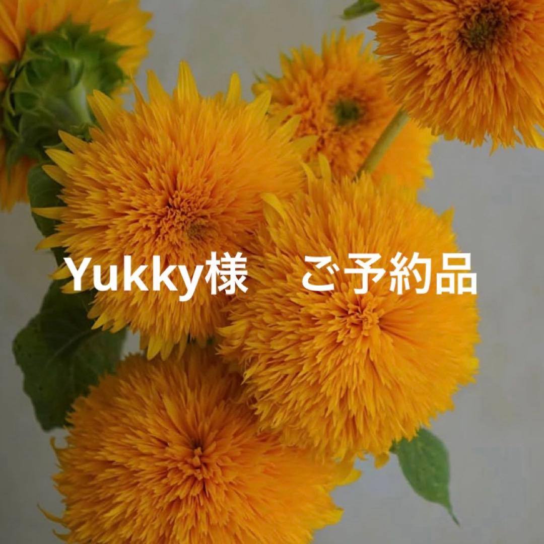 yukky様　ご予約品
