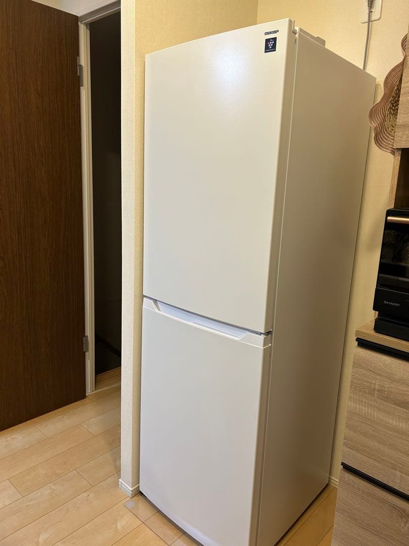 2025年製　プラズマクラスター冷蔵庫2ドア