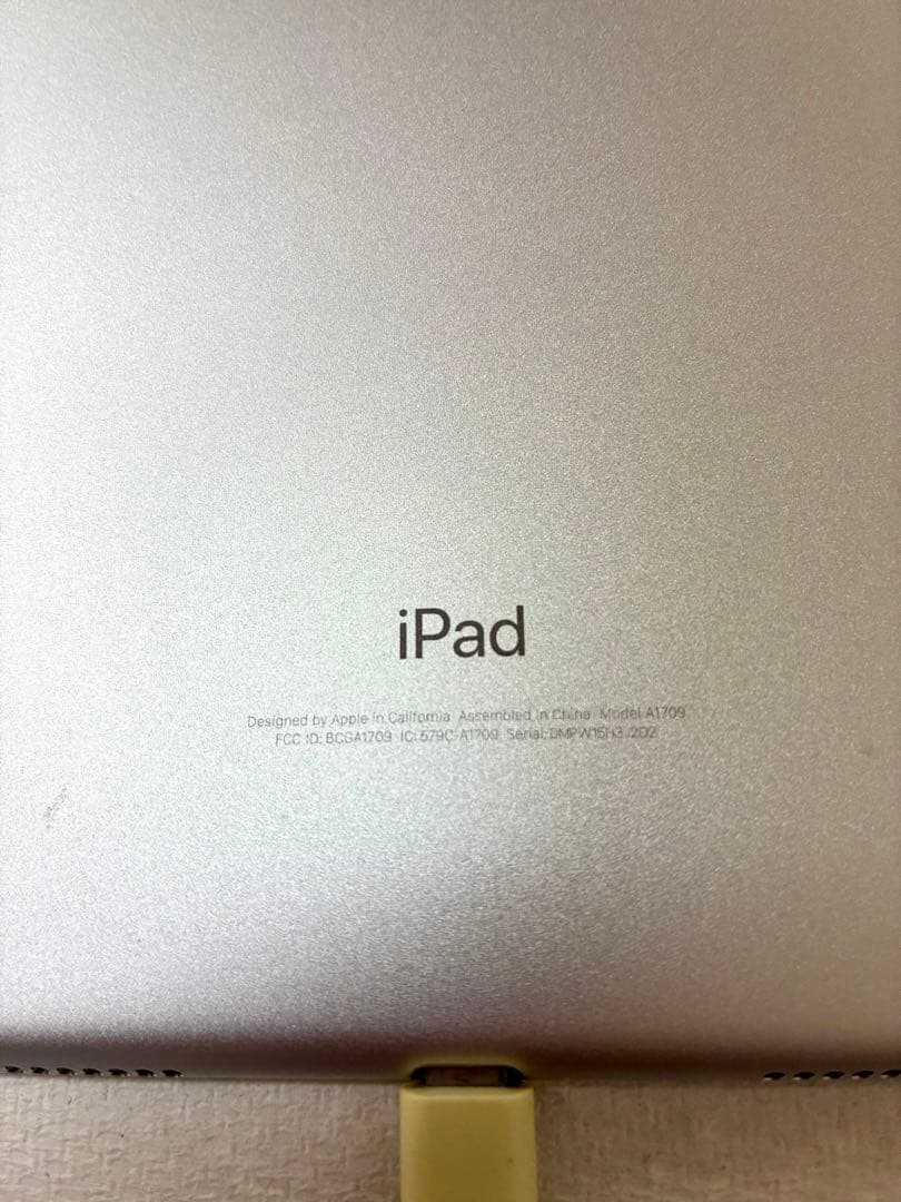 iPad Pro10.5インチ シルバー 本体 容量64GB