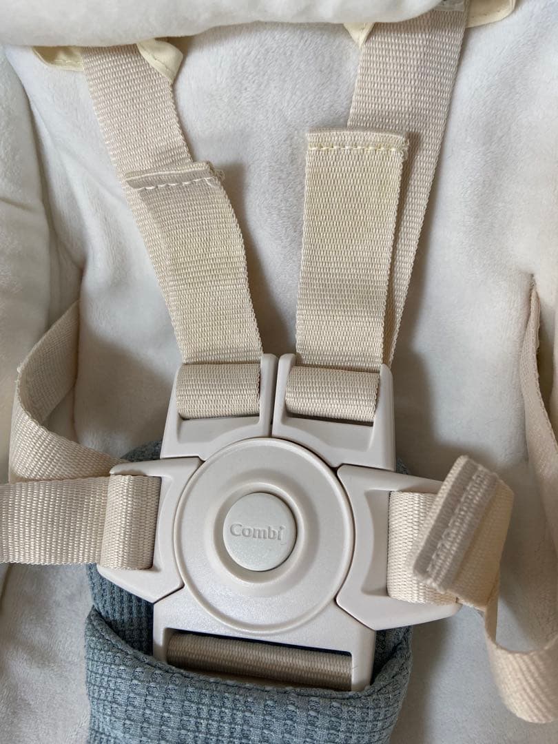 電動ハイローチェア ネムリラ AUTO SWING BEDi Long EG