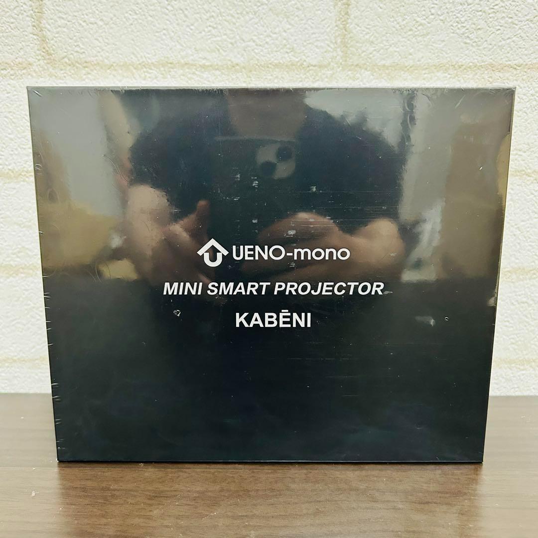 【保証付・未使用・新品】UENO-mono KABENI （カベーニ）T89AQ